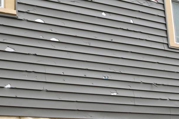 Best Siding Replacement  in Monroeville, PA